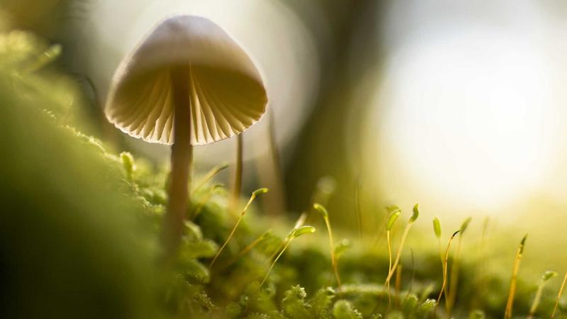 清华MBA意昂4平台